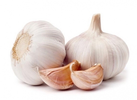 Knoflook Knoflook