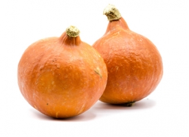 Pompoen <b>(Hokkaido)</b>